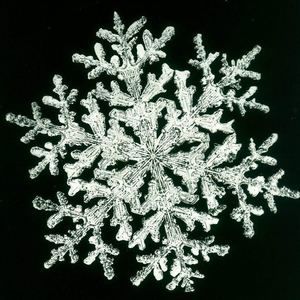 Meet your Posher, Molly